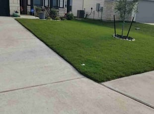 Therese M.'s turf maintenance service result