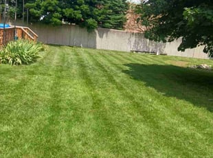 Kimberly k.'s turf care service result