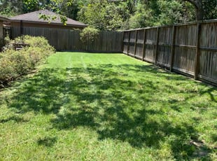 Ann-Maria C.'s lawn care services service result