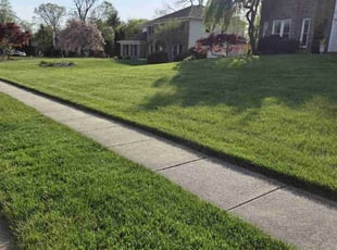 Paul F.'s landscaping service result