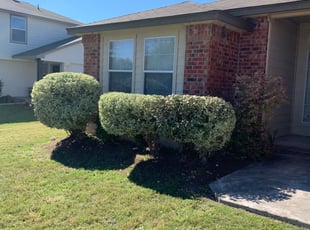 Rhonda N.'s Bush Trimming service result