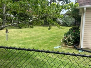 Kristin B.'s lawn service service result