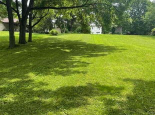 Tariq A.'s turf care service result