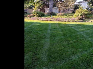 Pam D.'s lawn service service result