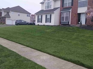 Michael K.'s lawn service service result