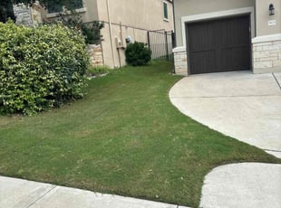 Emily B.'s grass cutting service result