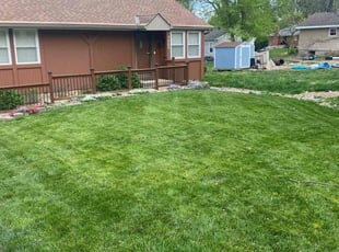 Raymond S.'s lawn service service result
