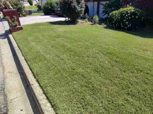 Lily D.'s landscaping service result