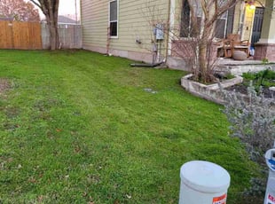Susan C.'s lawn care service result
