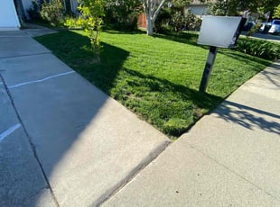 Michael S.'s lawn care service result