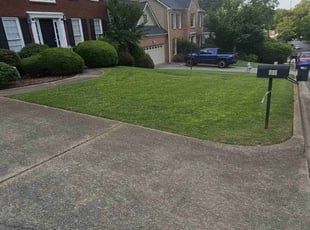 Jodi W.'s lawn care service result