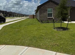 Maurice B.'s lawn service service result