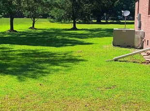Jaqualla T.'s grass cutting service result