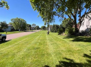Sanjay P.'s grass maintenance service result