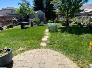 Chanter H.'s lawn care services service result