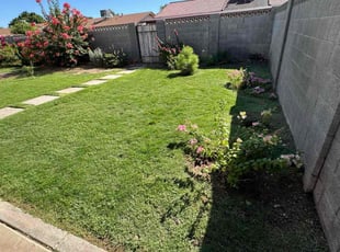 Tessy B.'s lawn care service result