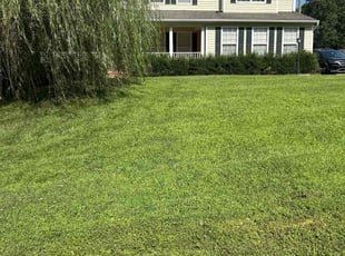 Princess J.'s lawn care service result