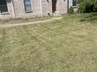 Christopher B.'s lawn care service result