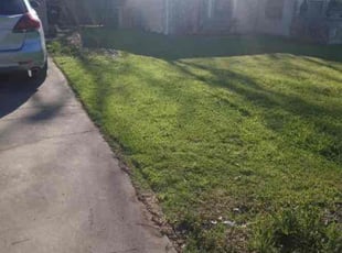 Allison R.'s lawn care service result
