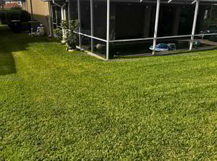 Wesley K.'s lawn service service result