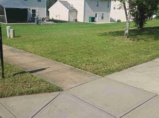 Chad C.'s turf care service result