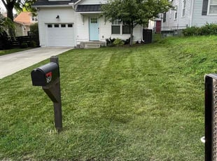 Theresa S.'s lawn service service result