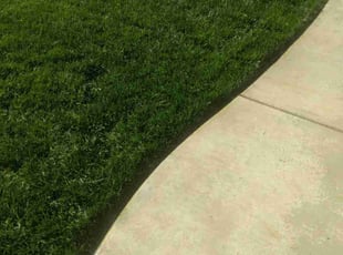 Ronay W.'s lawn care services service result