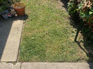 joan M.'s turf maintenance service result
