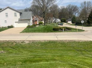 Lane T.'s lawn maintenance service result