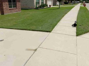Connie E.'s turf maintenance service result