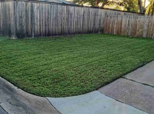 Ryan B.'s lawn service service result