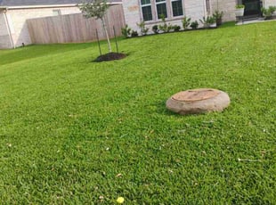 Lu E.'s lawn care services service result