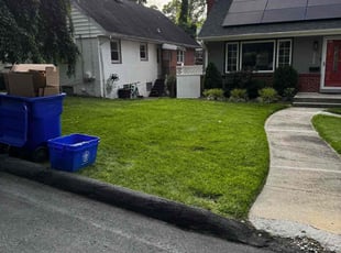 Jared B.'s turf care service result