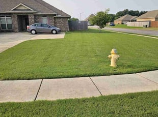 Kristine G.'s lawn care service result