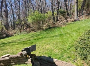 Teresa C.'s lawn care services service result