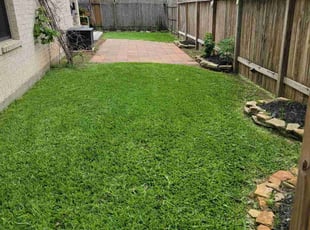 Darlene E.'s turf maintenance service result