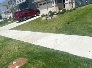 Mark B.'s lawn service service result