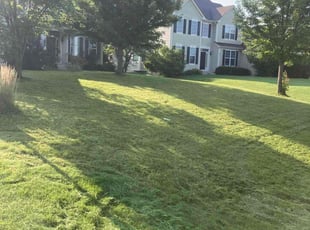 James B.'s grass cutting service result