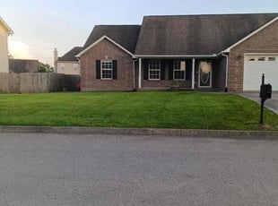 Paula S.'s turf maintenance service result