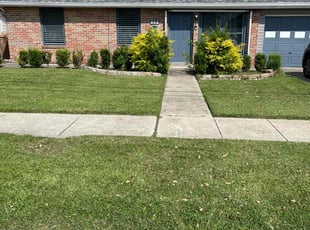 Mark M.'s grass maintenance service result