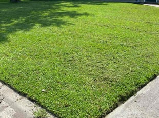 Devona R.'s lawn care services service result