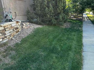 Kelsey R.'s turf maintenance service result