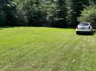 Betty W.'s lawn care service result