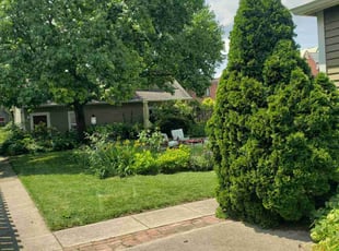 Veera S.'s turf maintenance service result