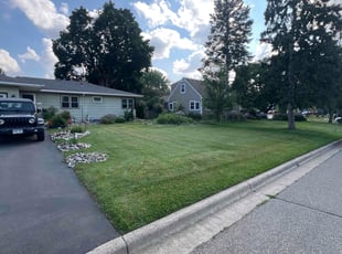 Jo J.'s lawn care service result