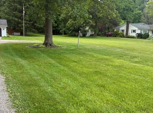 Rhonda D.'s lawn maintenance service result