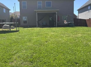 Matthew L.'s grass maintenance service result