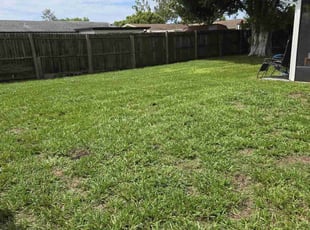 Edward M.'s grass cutting service result