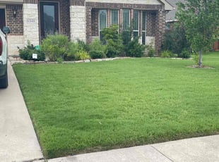 Andy R.'s Lawn Mowing service result