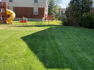 Robin A.'s turf care service result